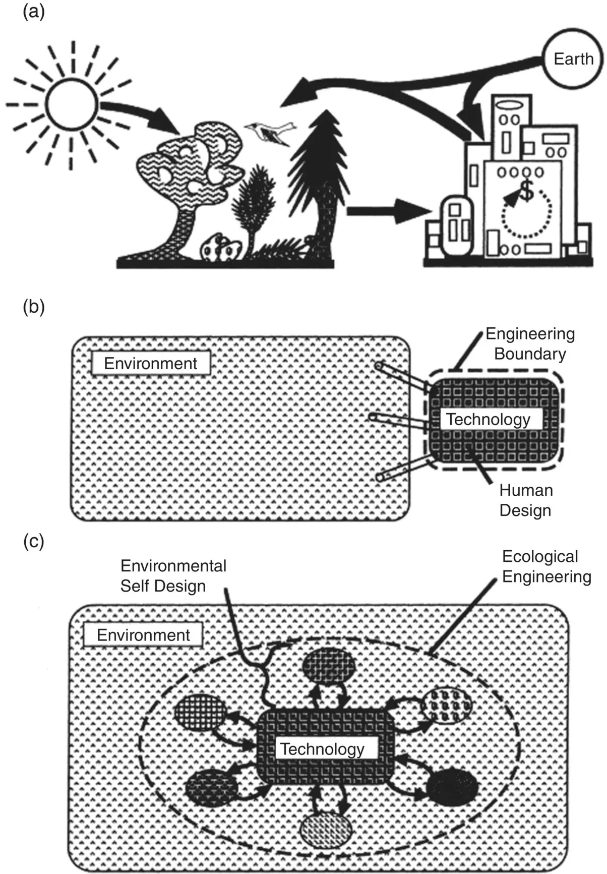Figure 31 Sketches of the exchange of materials and services in the ecological - фото 12