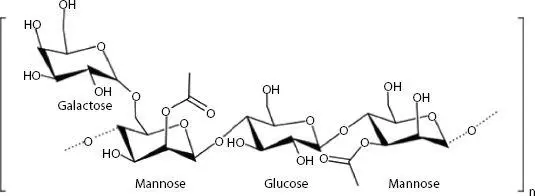 Figure 11Chemical structure of mucopolysaccharide acemannan 12 Applications - фото 2