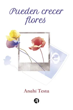 Anahí Testa Pueden crecer flores обложка книги