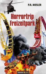 P.R. Mosler - Horrortrip Freizeitpark