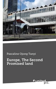 Pascaline Ojong Tanyi Europe, The Second Promised land обложка книги