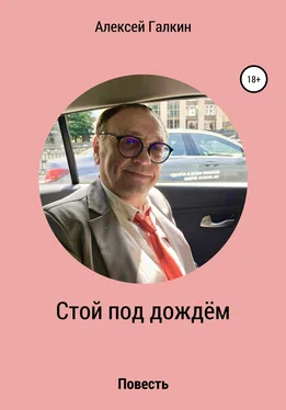 Алексей Галкин Стой под дождём обложка книги