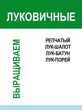 Игорь Гусев Луковичные обложка книги