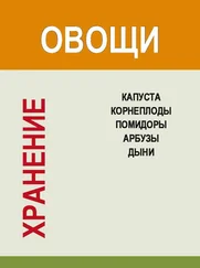 Игорь Гусев - Хранение. Овощи. Капуста, корнеплоды, помидоры, арбузы, дыни