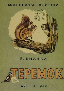 Виталий Бианки Теремок (Художник Г. Никольский) обложка книги