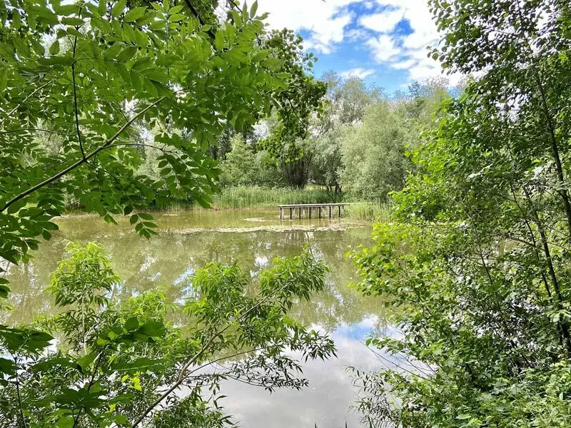 Seerosenteich an der Saale Saalewehr bei Weißenfels Wir kreuzen die Saale zum - фото 35
