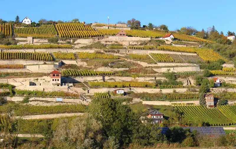 Weinberge an der Unstrut Die räumliche Ausdehnung ist also nicht groß Sie - фото 8