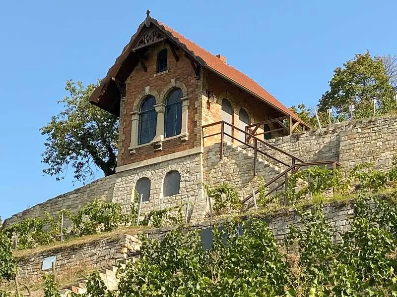 In den Weinbergen bei Freyburg In den Monaten vor der Veröffentlichung dieses - фото 3