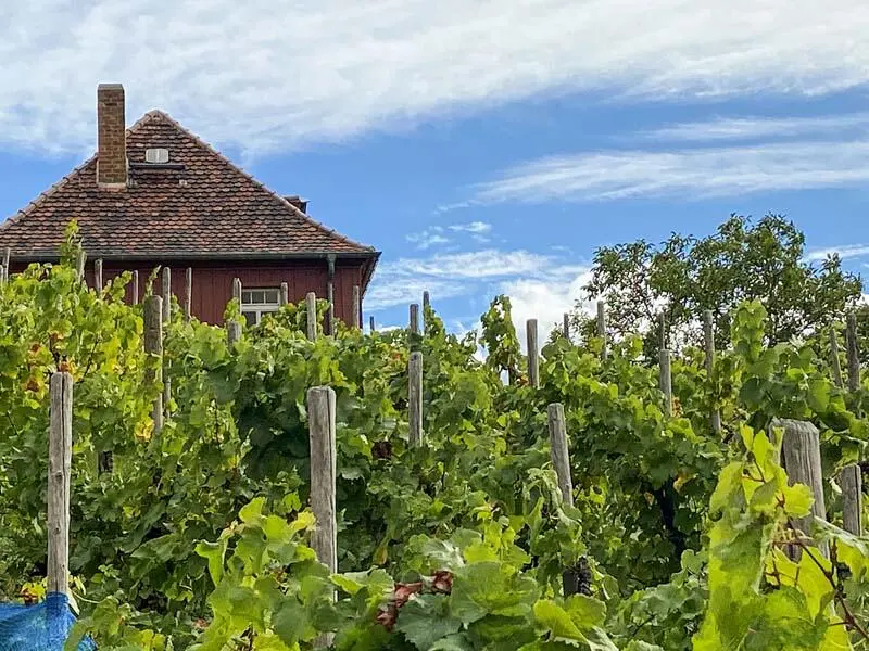Am Blütengrund Restaurants Im Burggarten serviert die SchlossSchenke - фото 39