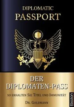 Dr. Goldmann Der Diplomaten-Pass обложка книги