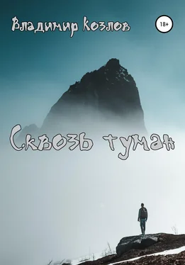 Владимир Козлов Сквозь туман обложка книги