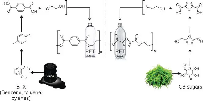 Figure 12 Parallelism between the production of PET left and PEF right In - фото 3