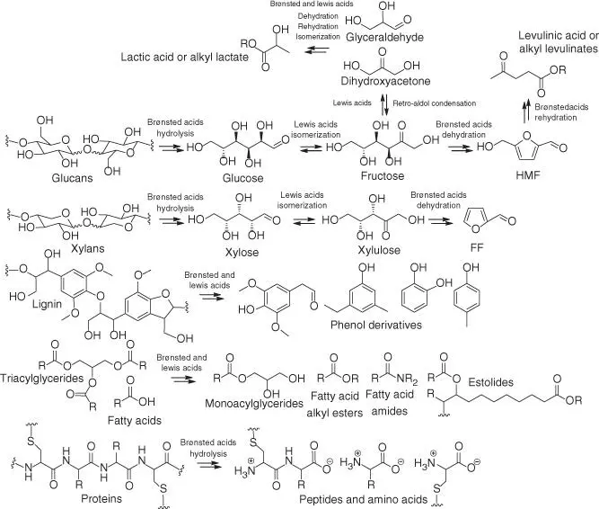 Scheme 22 Acidcatalyzed valorization of biomacromolecules R H or organyl - фото 5