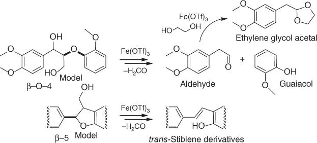 Scheme 28 Proposed acidcatalyzed cleavage of lignin models specific bond - фото 15