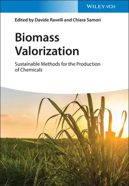 Неизвестный Автор Biomass Valorization обложка книги