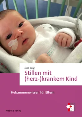 Julia Berg Stillen mit (herz-)krankem Kind обложка книги