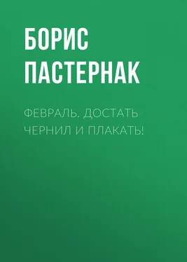 Борис Пастернак Февраль. Достать чернил и плакать! обложка книги