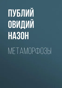 Публий Овидий Назон Метаморфозы обложка книги