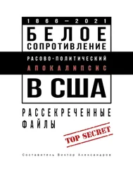 Виктор Александров - Белое сопротивление. Расово-политический апокалипсис в США. Рассекреченные файлы