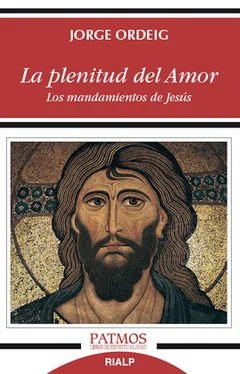 Jorge Ordeig Corsini La plenitud del amor обложка книги