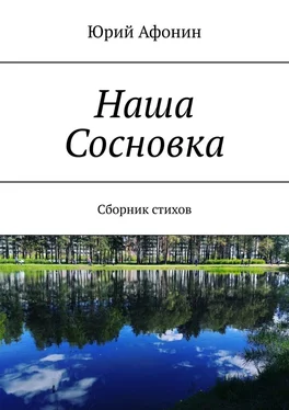 Юрий Афонин Наша Сосновка. Сборник стихов обложка книги