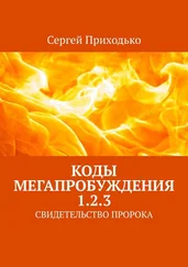 Сергей Приходько - КОДЫ МЕГАПРОБУЖДЕНИЯ 1.2.3. СВИДЕТЕЛЬСТВО ПРОРОКА