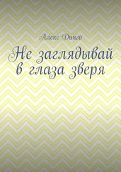 Алекс Динго - Не заглядывай в глаза зверя