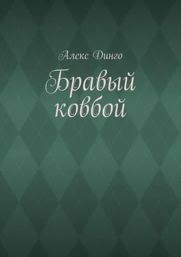 Алекс Динго Бравый ковбой обложка книги