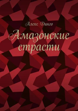 Алекс Динго Амазонские страсти обложка книги