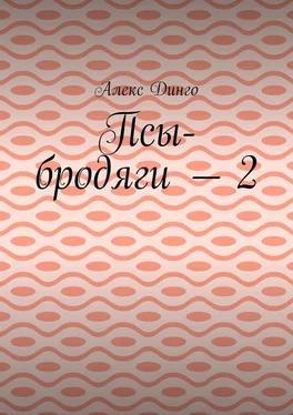 Алекс Динго Псы-бродяги – 2 обложка книги