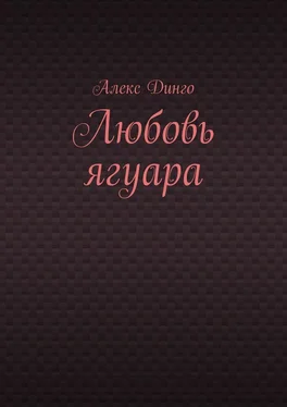 Алекс Динго Любовь ягуара обложка книги