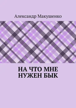 Александр Макушенко На что мне нужен бык обложка книги