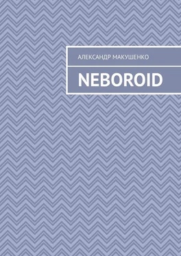 Александр Макушенко Neboroid обложка книги