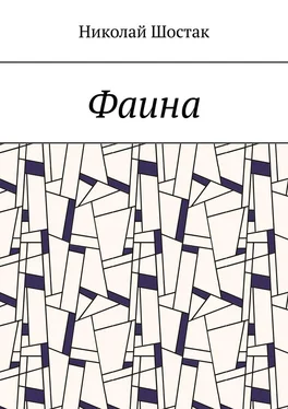 Николай Шостак Фаина обложка книги