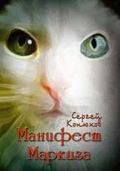 Сергей Конюхов - Манифест Маркиза