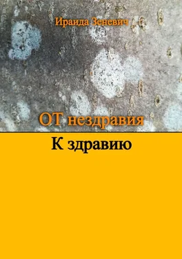 Ираида Зеневич От нездравия к здравию обложка книги