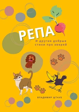 Владимир Штауб Репа. И другие добрые стихи про зверей обложка книги