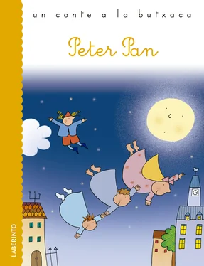 James Matthew Barrie Peter Pan обложка книги
