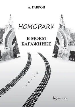 Анатолий Гаврон Homopark в моем багажнике обложка книги