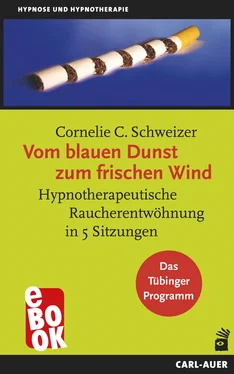 Cornelie C Schweizer Vom blauen Dunst zum frischen Wind обложка книги