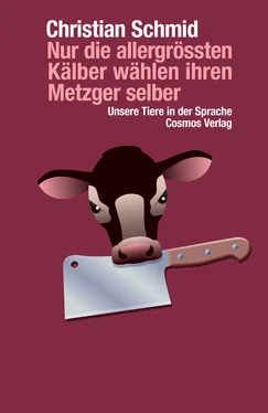 Christian Schmid Nur die allergrössten Kälber wählen ihren Metzger selber обложка книги