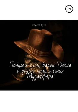 Сергей Русс Попугаи, слон, баран Дочка и другие удивительные приключения Музаффара обложка книги