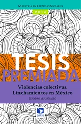 Leandro A. Gamallo - Violencias colectivas