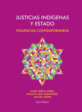 Juan Carlos Martínez Justicias indígenas y Estado обложка книги