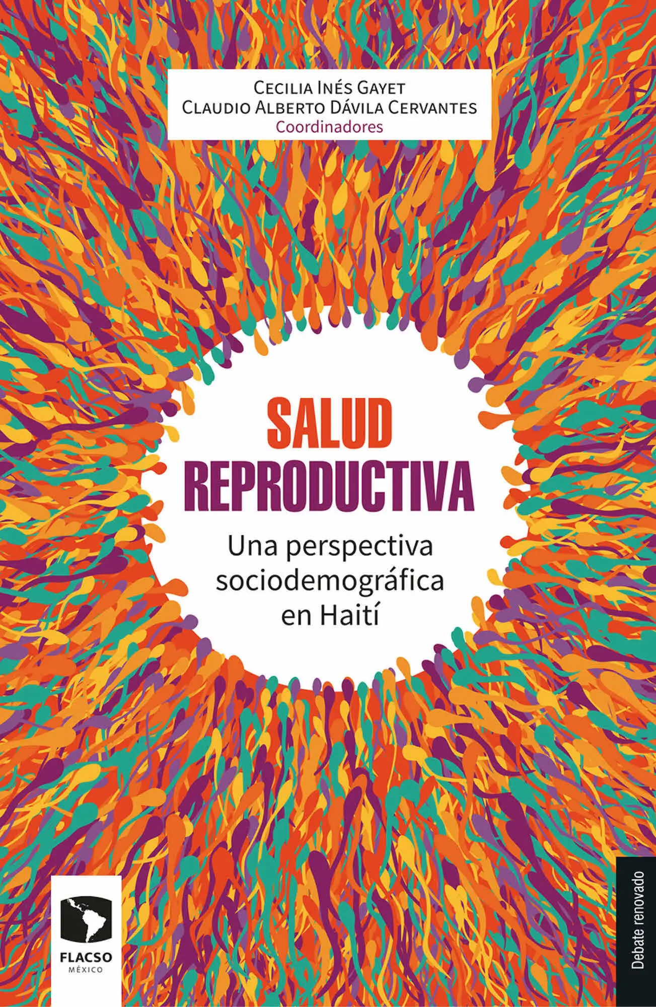 Salud reproductiva Una perspectiva sociodemográfica en Haití Cecilia Inés Gayet - фото 1