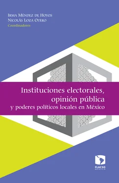 Rodrigo Salazar Elena Instituciones electorales, opinión pública y poderes políticos locales en México обложка книги