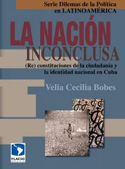 Cecilia Bobes León - La nación inconclusa