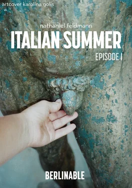 Nathaniel Feldmann Italien Summer - Episode 1 обложка книги