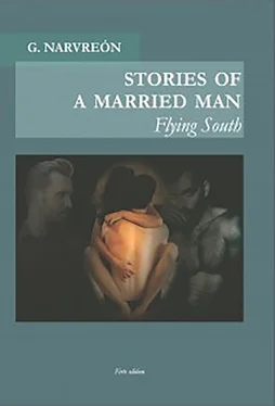 Gonzalo Narvreón Stories of a married man обложка книги