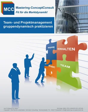 Prof. Dr. Harry Schröder Team- und Projektmanagement gruppendynamisch praktizieren обложка книги
